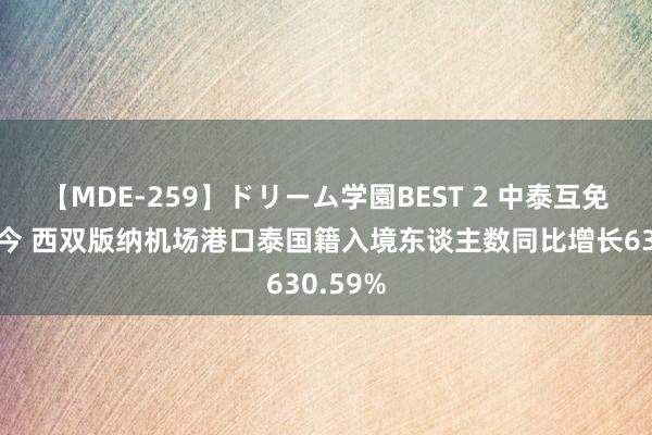 【MDE-259】ドリーム学園BEST 2 中泰互免签证于今 西双版纳机场港口泰国籍入境东谈主数同比增长630.59%