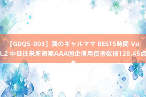 【GDQS-003】隣のギャルママ BEST5時間 Vol.2 中证往来所短期AAA国企信用债指数报128.45点