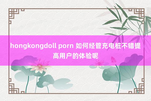 hongkongdoll porn 如何经管充电桩不错提高用户的体验呢