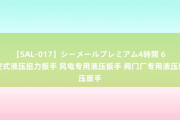 【SAL-017】シーメールプレミアム4時間 6 中空式液压扭力扳手 风电专用液压扳手 阀门厂专用液压扳手