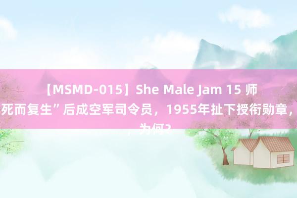 【MSMD-015】She Male Jam 15 师政委“死而复生”后成空军司令员，1955年扯下授衔勋章，为何？