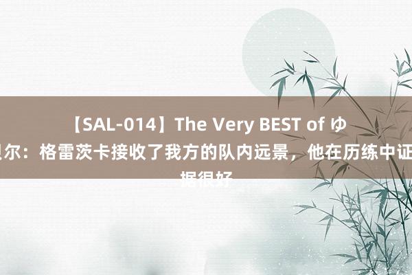 【SAL-014】The Very BEST of ゆか 埃贝尔：格雷茨卡接收了我方的队内远景，他在历练中证据很好