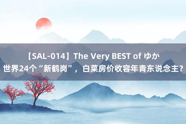 【SAL-014】The Very BEST of ゆか 世界24个“新鹤岗”，白菜房价收容年青东说念主？