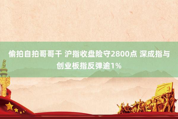 偷拍自拍哥哥干 沪指收盘险守2800点 深成指与创业板指反弹逾1%