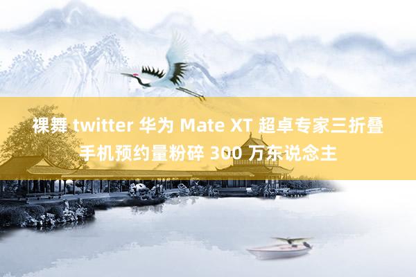 裸舞 twitter 华为 Mate XT 超卓专家三折叠手机预约量粉碎 300 万东说念主